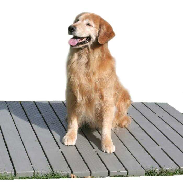 Pet Supplies H73600