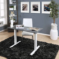 Height Adjustable Desk with USB Power Outlet Grey K872392