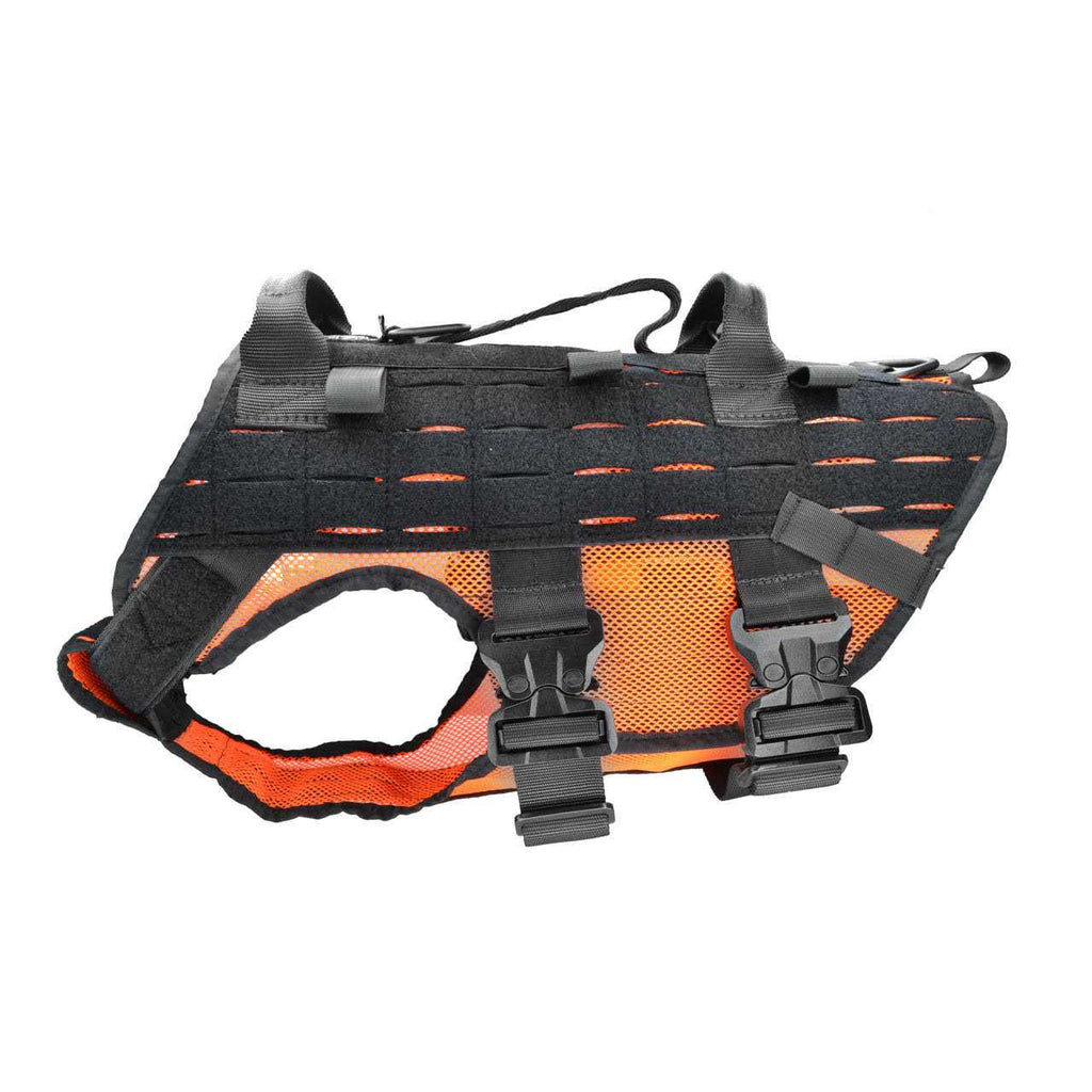 Harness H442