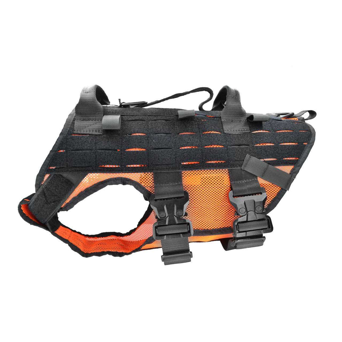 Harness H442
