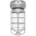 CFL Ceiling 32W Black with Globe R136