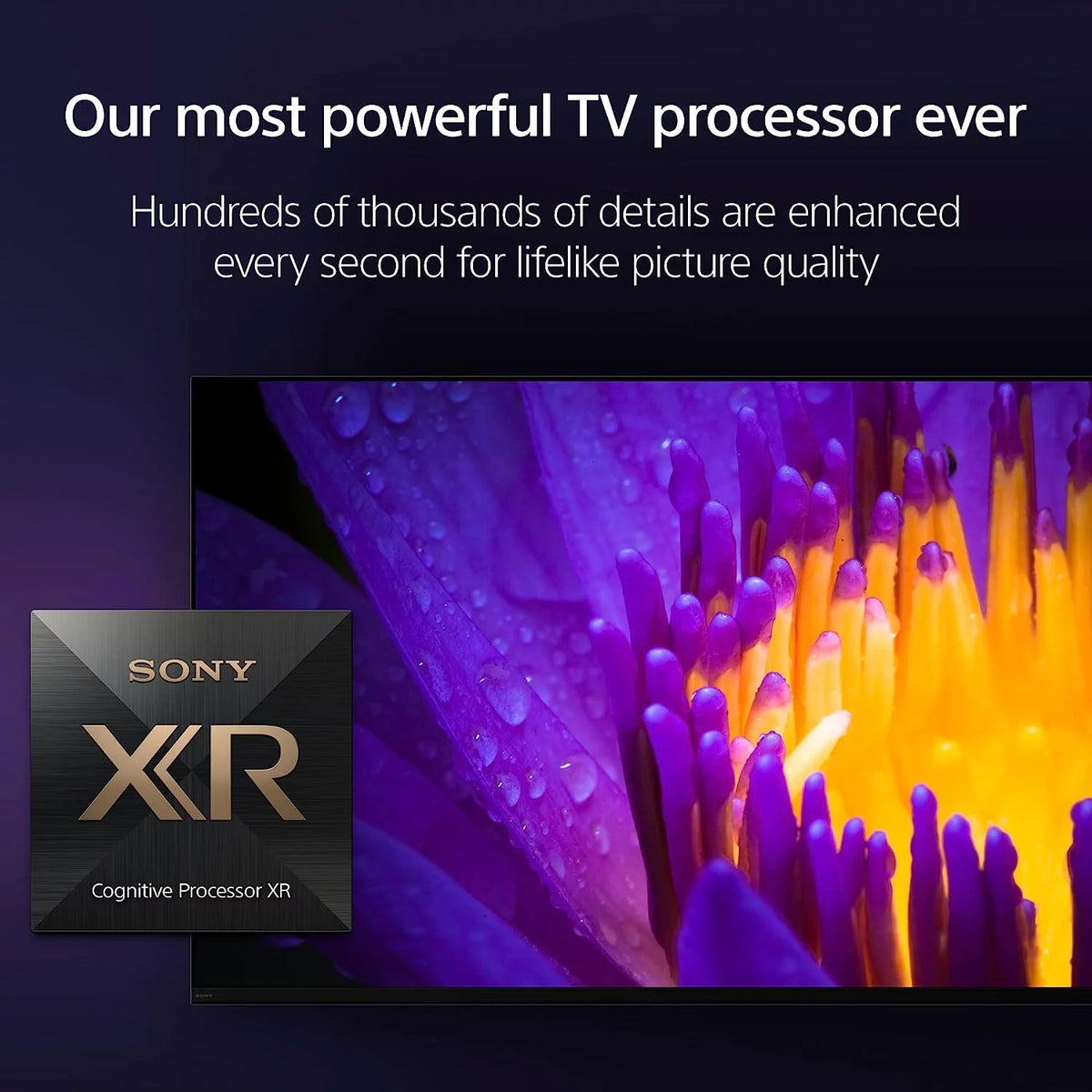 65 Inch 4K HDR OLED Smart Google TV X274442
