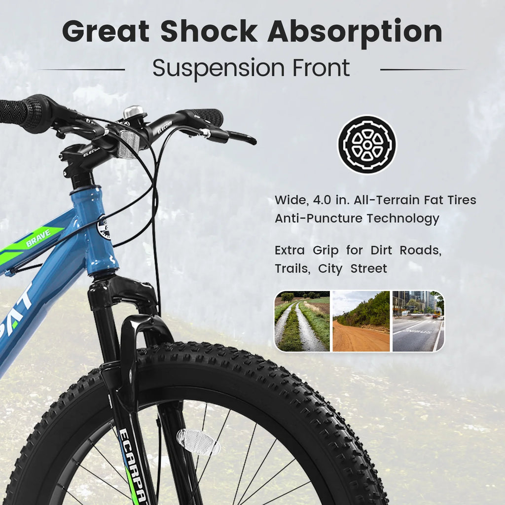 24 Inch 7 Speeds Fat Tire Mountain Bike U19207