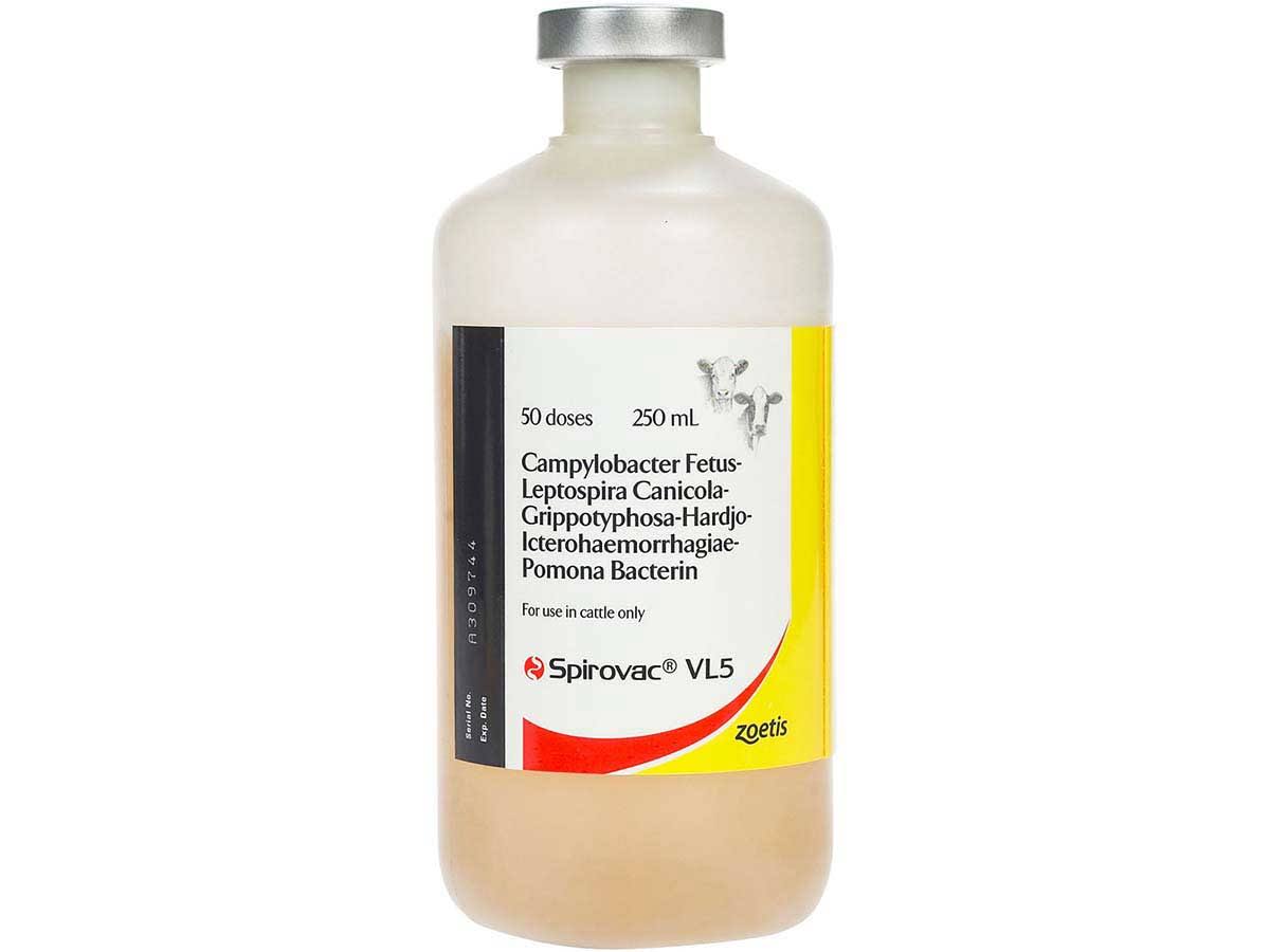 Cattle Vaccine 50 Dose A758003