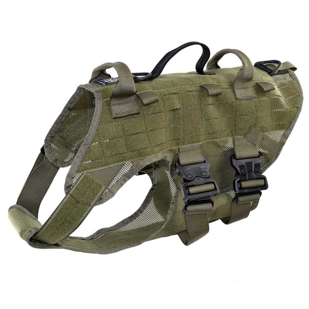 Harness H442