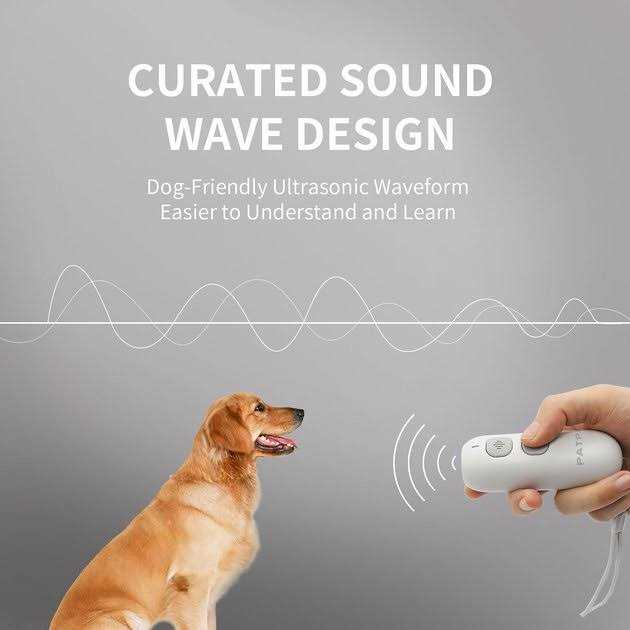 Ultrasonic Pet Behavior Training Remote K2116