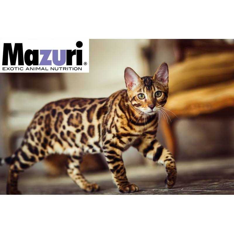 Exotic Feline Diet D5771