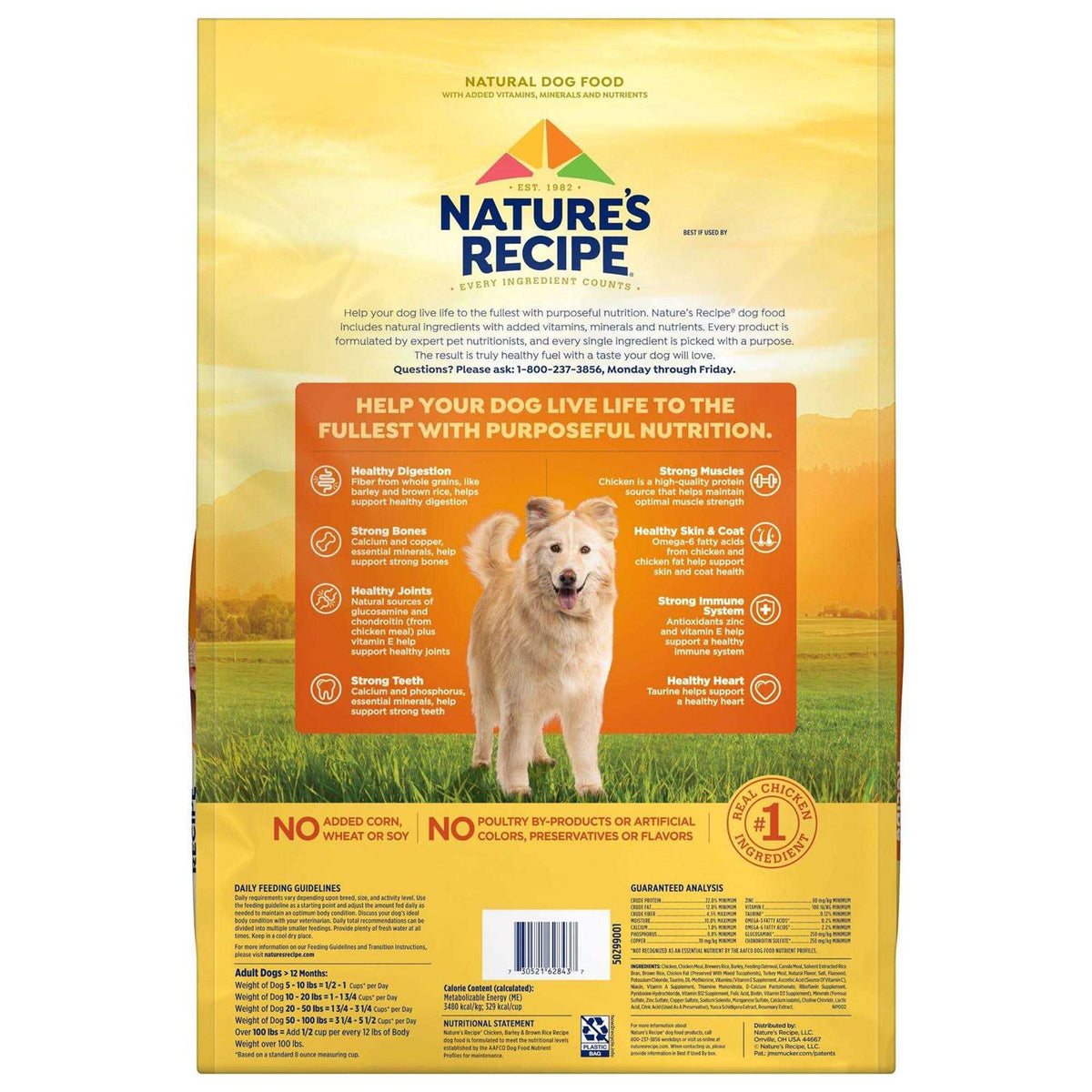 Chicken & Rice Dry Dog Food X603746