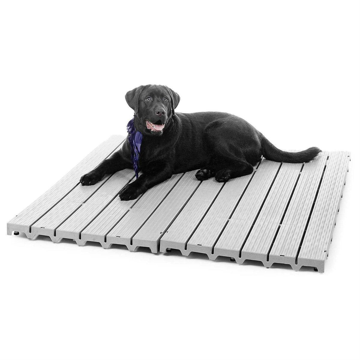 Pet Supplies H73600