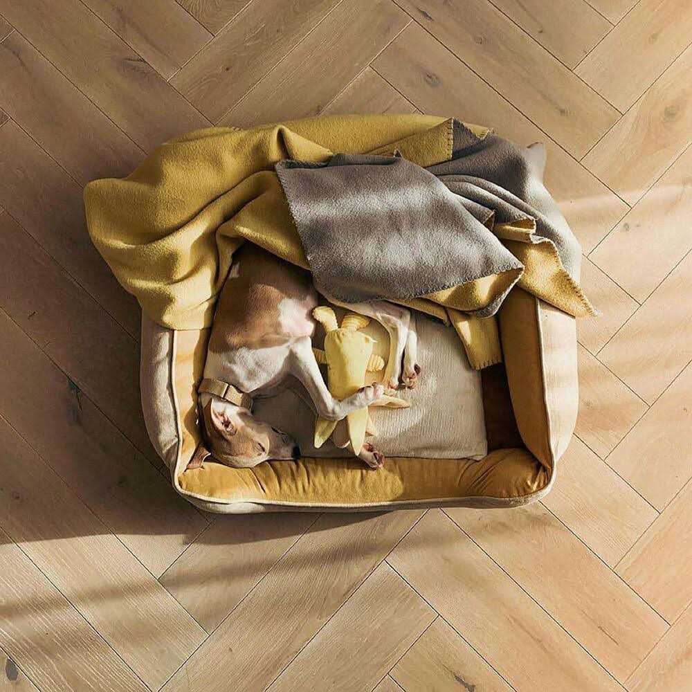Square Dog Bed H387682