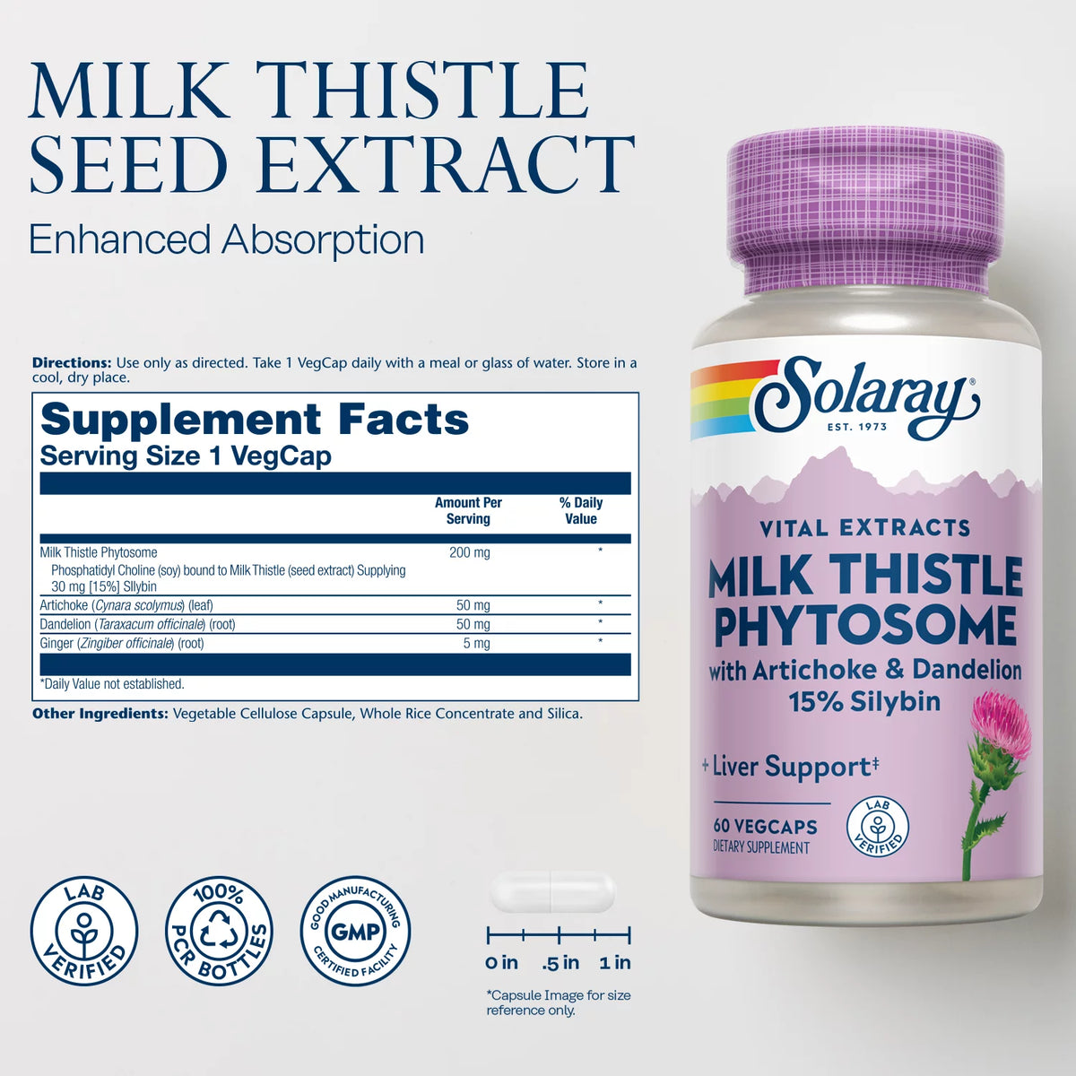 Milk Thistle Phytosome 60 capsules F913