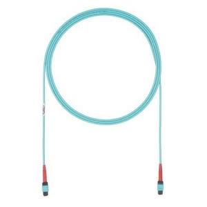 Fiber Optic Network Cable 95 ft P3410