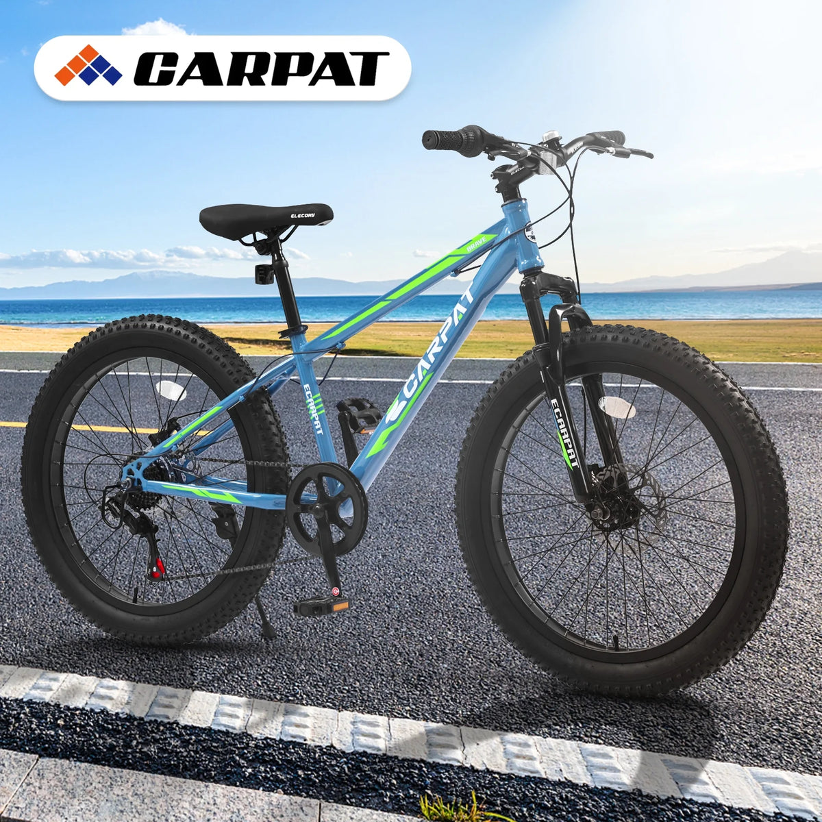 24 Inch 7 Speeds Fat Tire Mountain Bike U19207