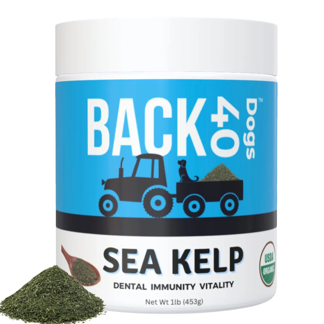 Kelp Powder Dog Supplement 453g A35491