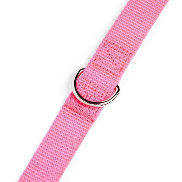 Dog Lead B665