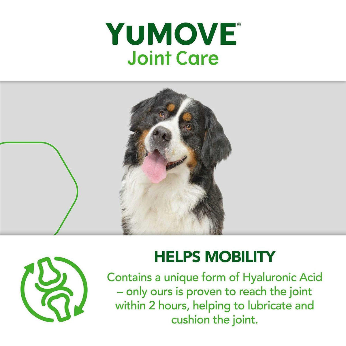 Joint Supplement for Senior Dogs F4675