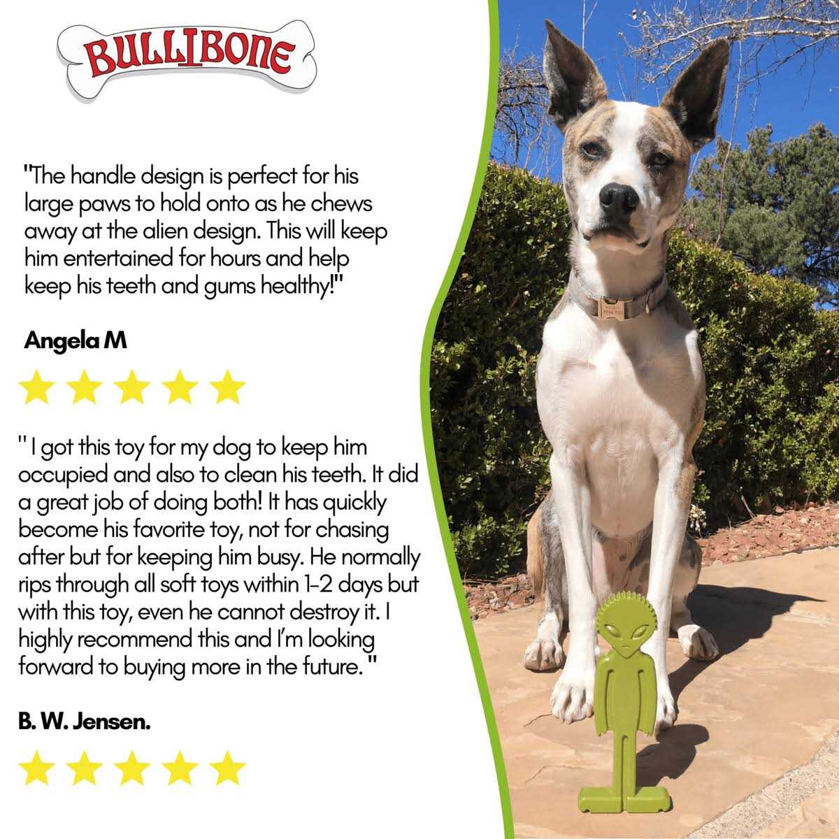 Small Alien Bone Dog Chew Toy with Easy Hold Grips F98805