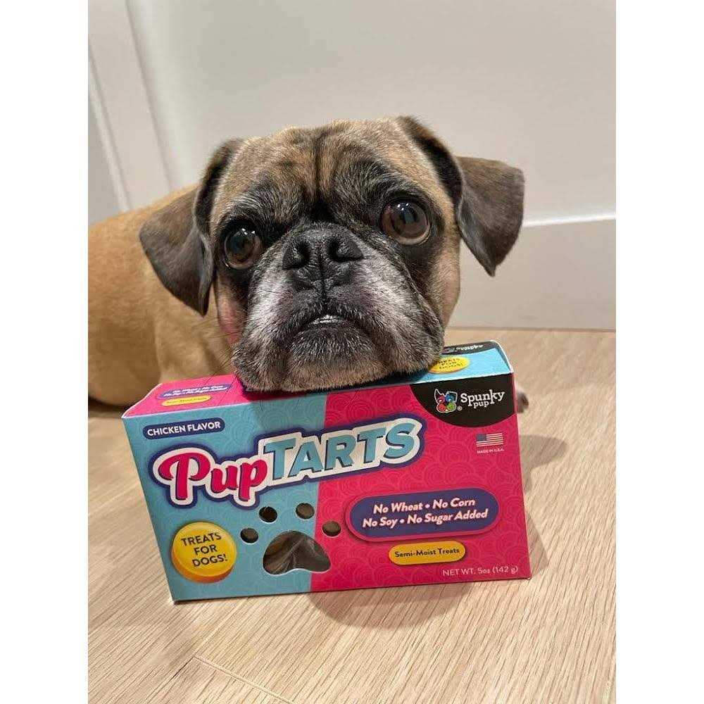 Dog Treats Y38456