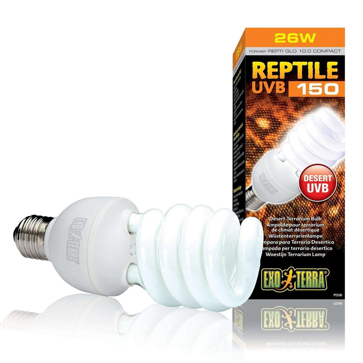 Desert Terrarium Bulb V734012