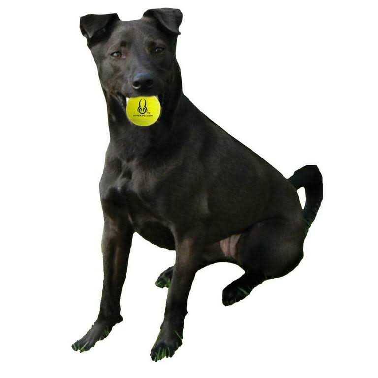 Tennis Balls F146183