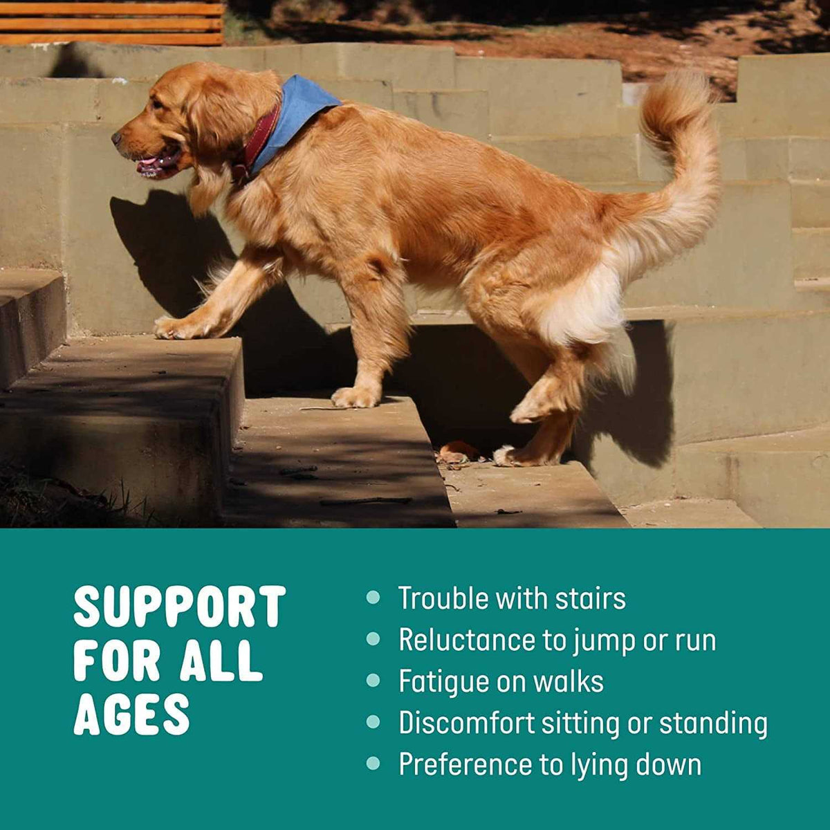 Glucosamine for Dogs Hip and Joint Supplement with Chondroitin, Turmeric, and Msm L149