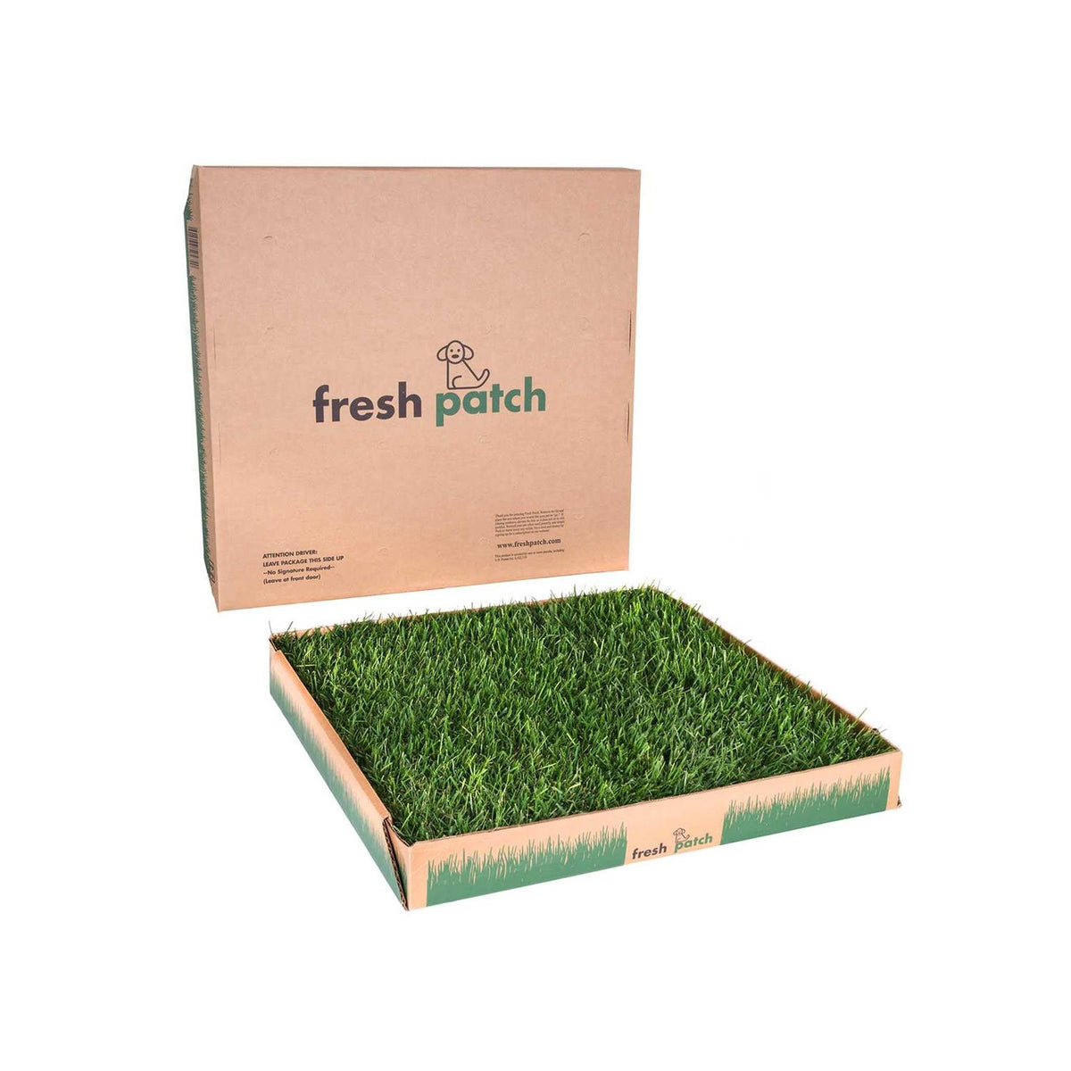 Large Real Grass Pee and Potty Training Pad for Dogs 15 to 30 Pounds A219306