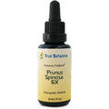 Prunus Spinosa 6X 30 mL A832