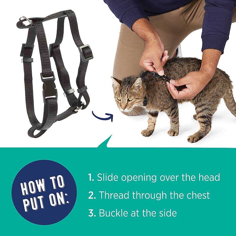 Cat Harness Y424537