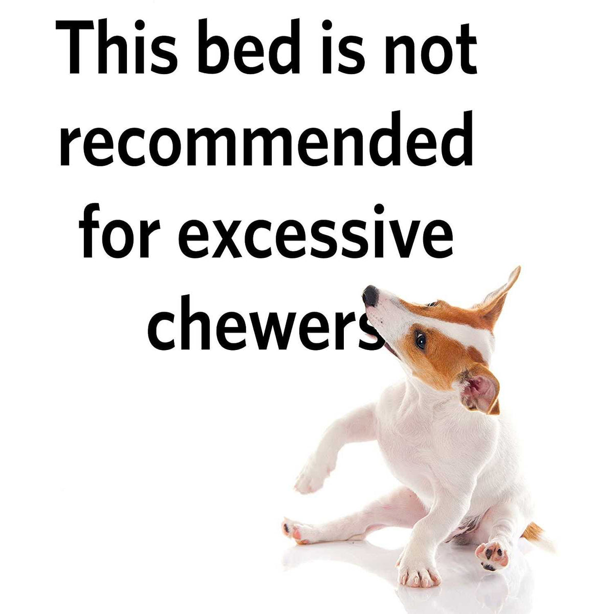 Pet Bed H672