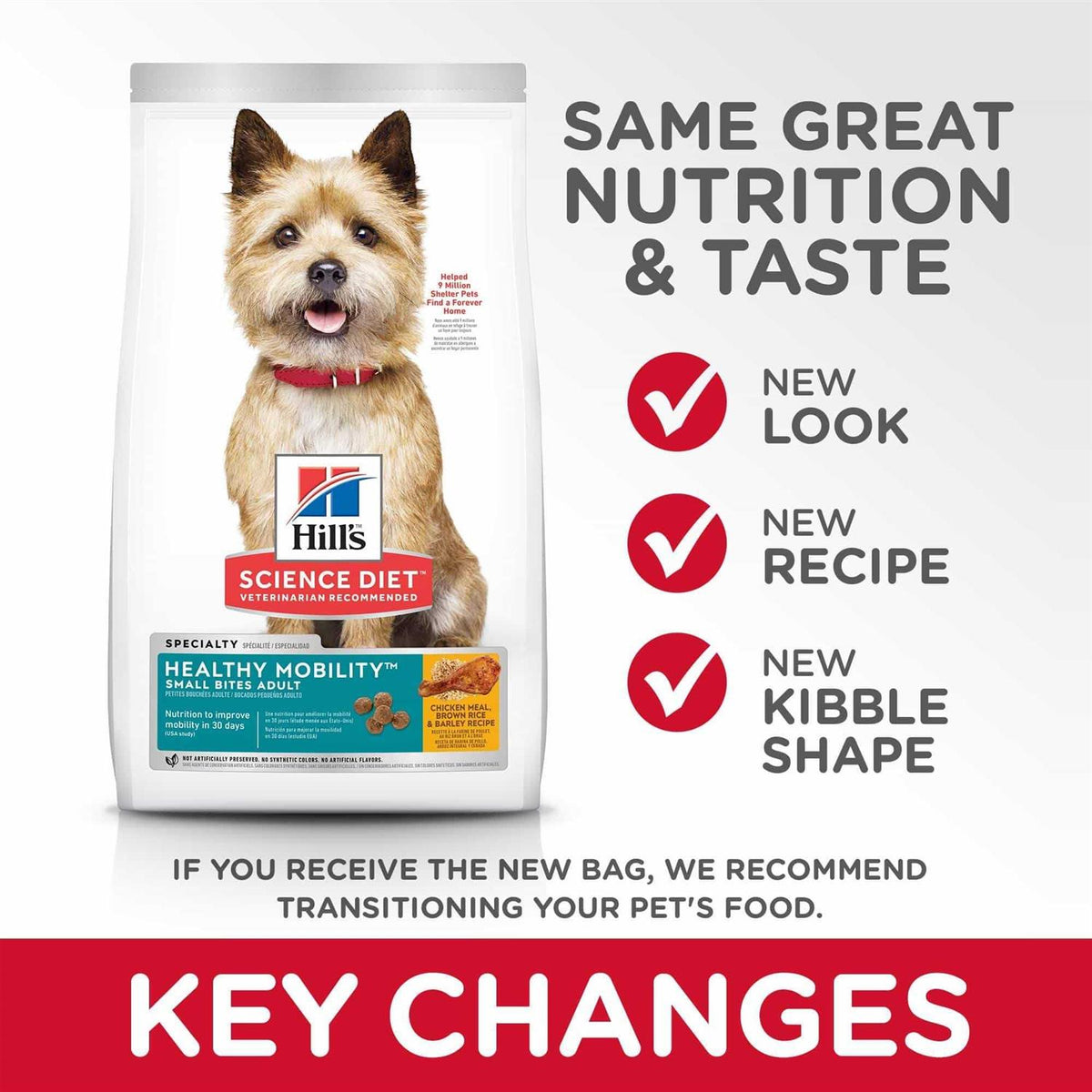 Adult Healthy Mobility Small Bites Dog Food A605