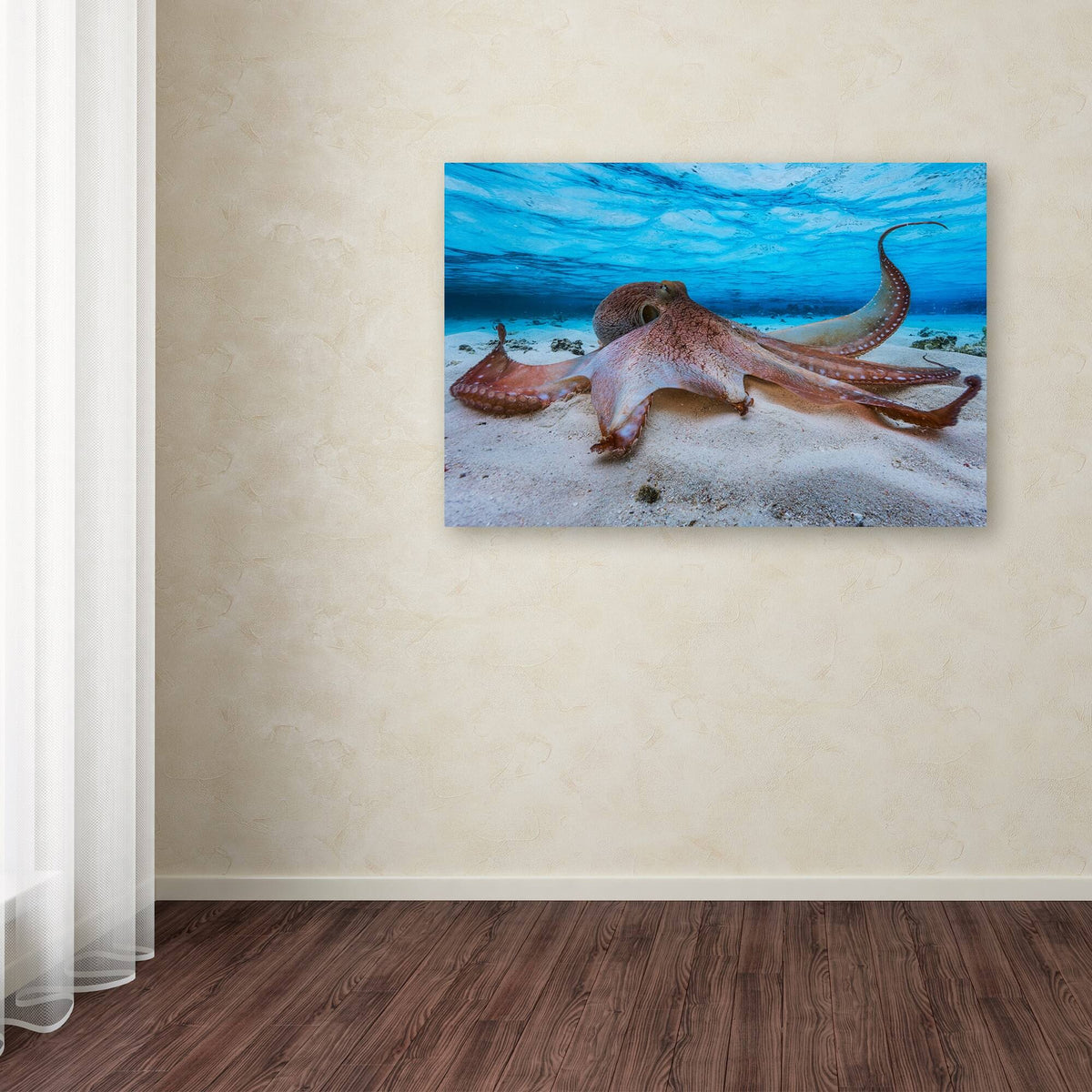 Octopus Canvas G173576
