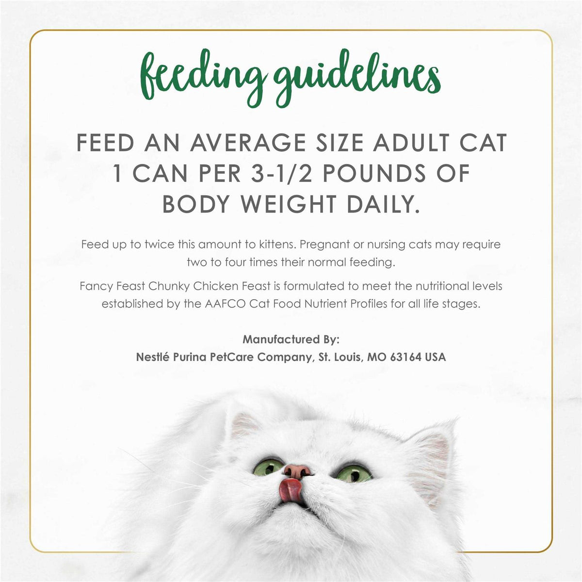 Wet Cat Food S53671