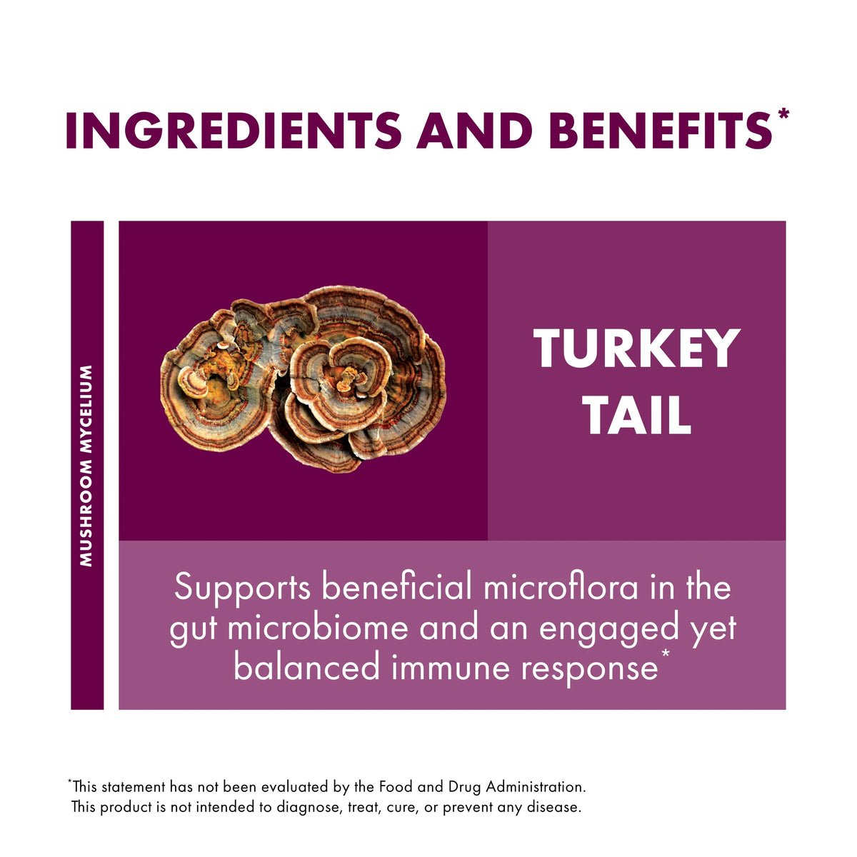 Turkey Tail Mushroom Supplement 60 Capsules U647