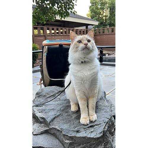 Convertible Cat Backpack U84805