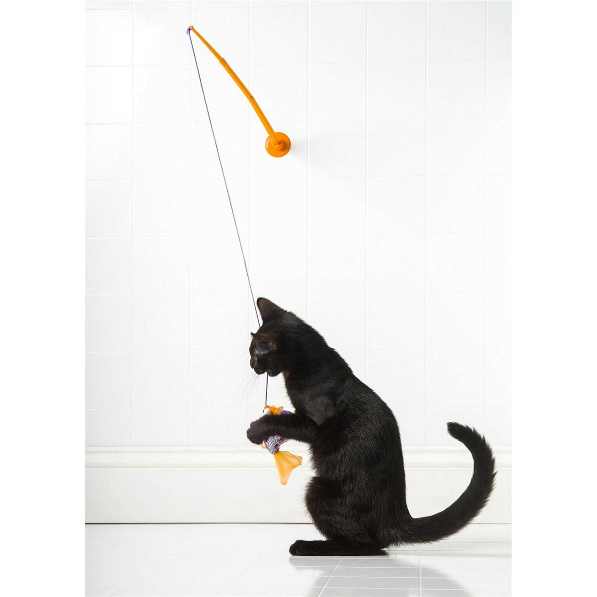 Cat Toy A4876