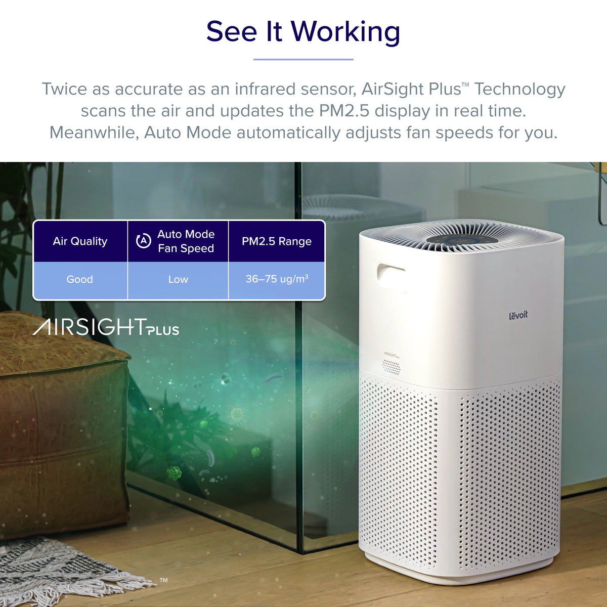 White Air Purifier D784022