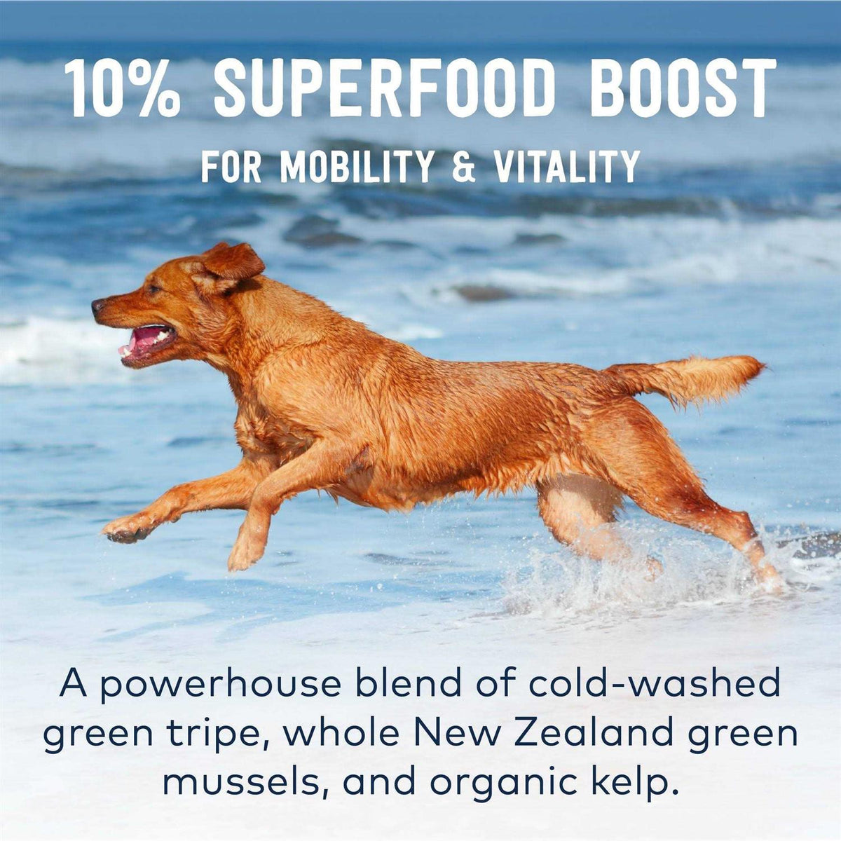 Mackerel Lamb Air-Dried Dog Food P5281