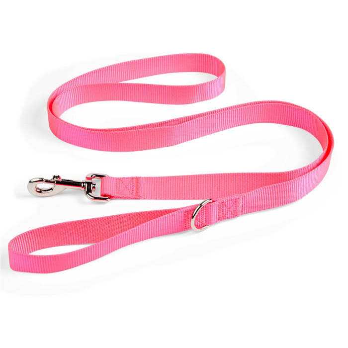 Dog Lead B665