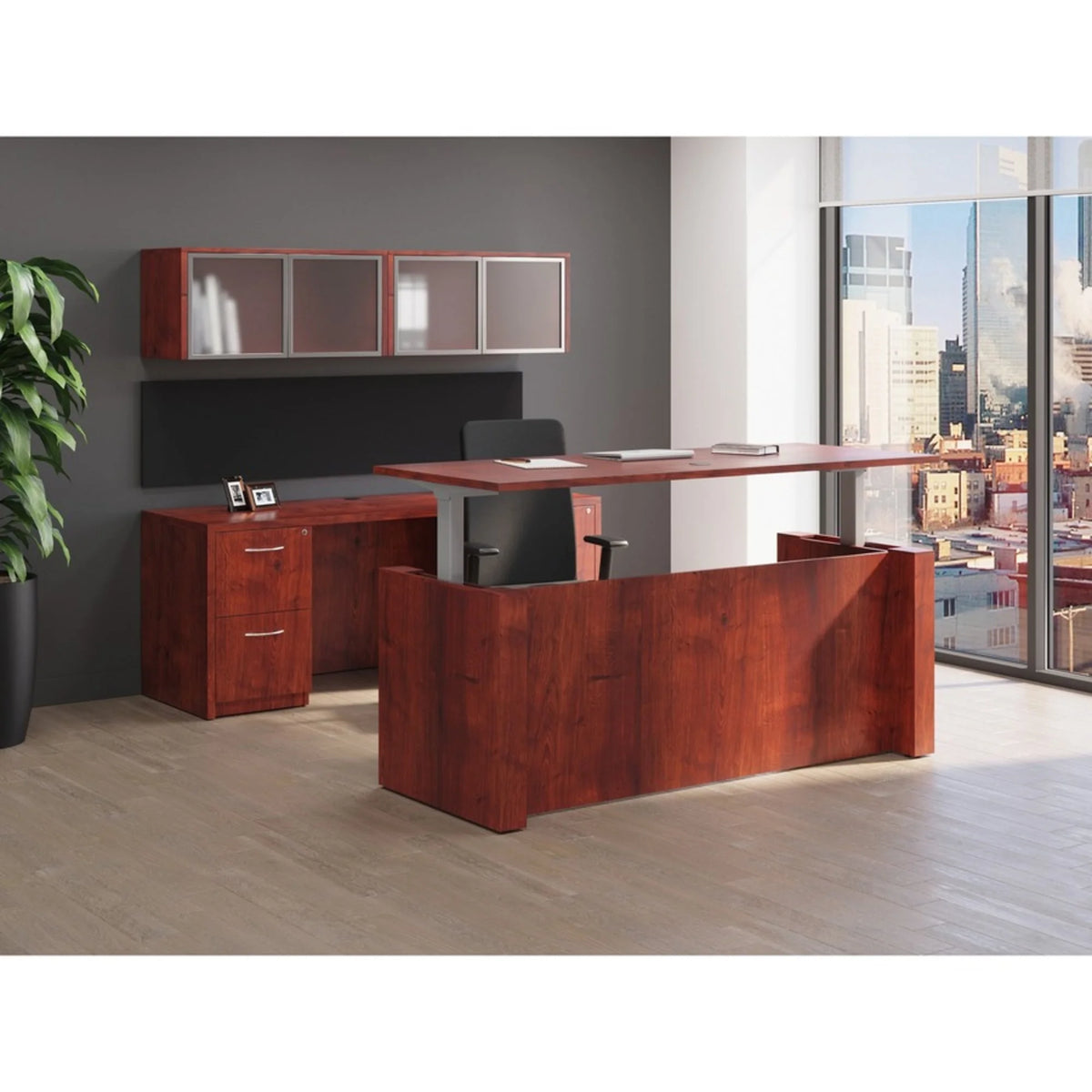 2-Door Storage Cabinet Cherry C524144
