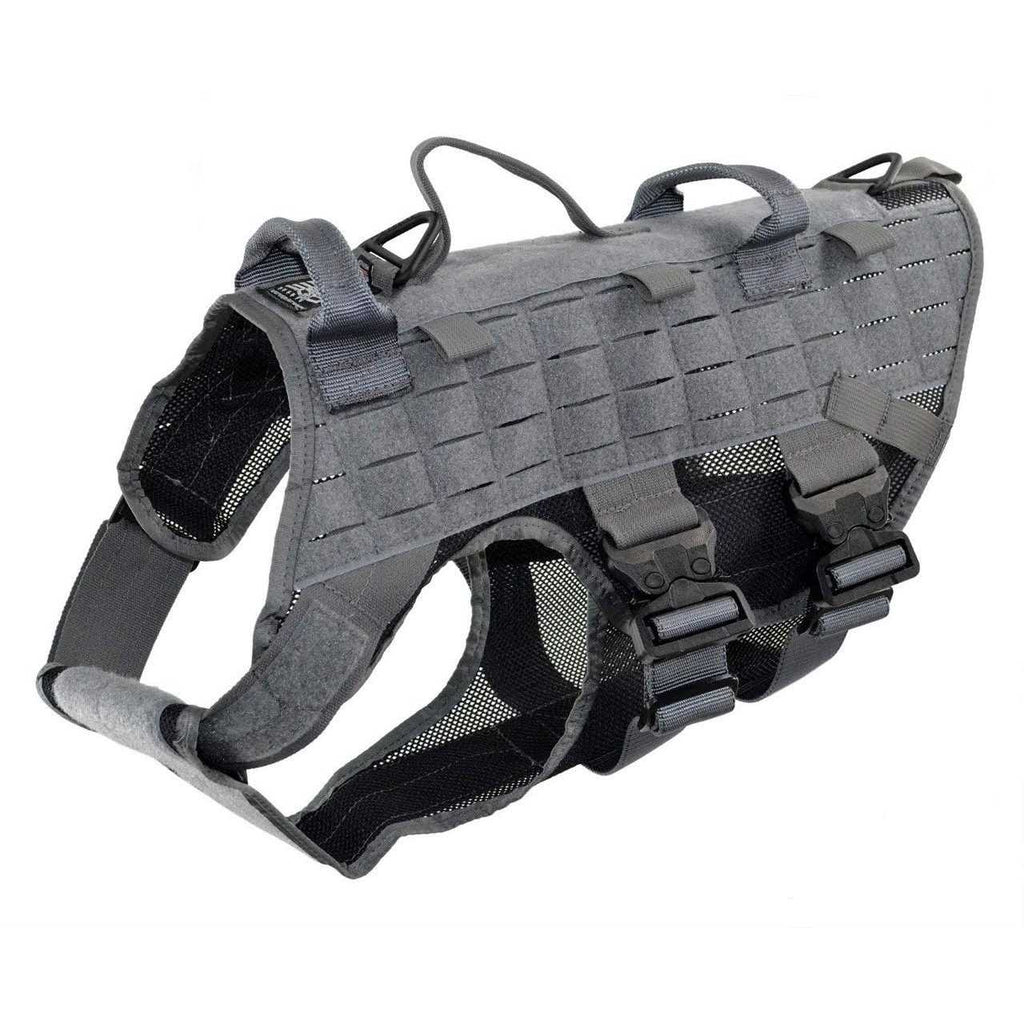 Harness H442