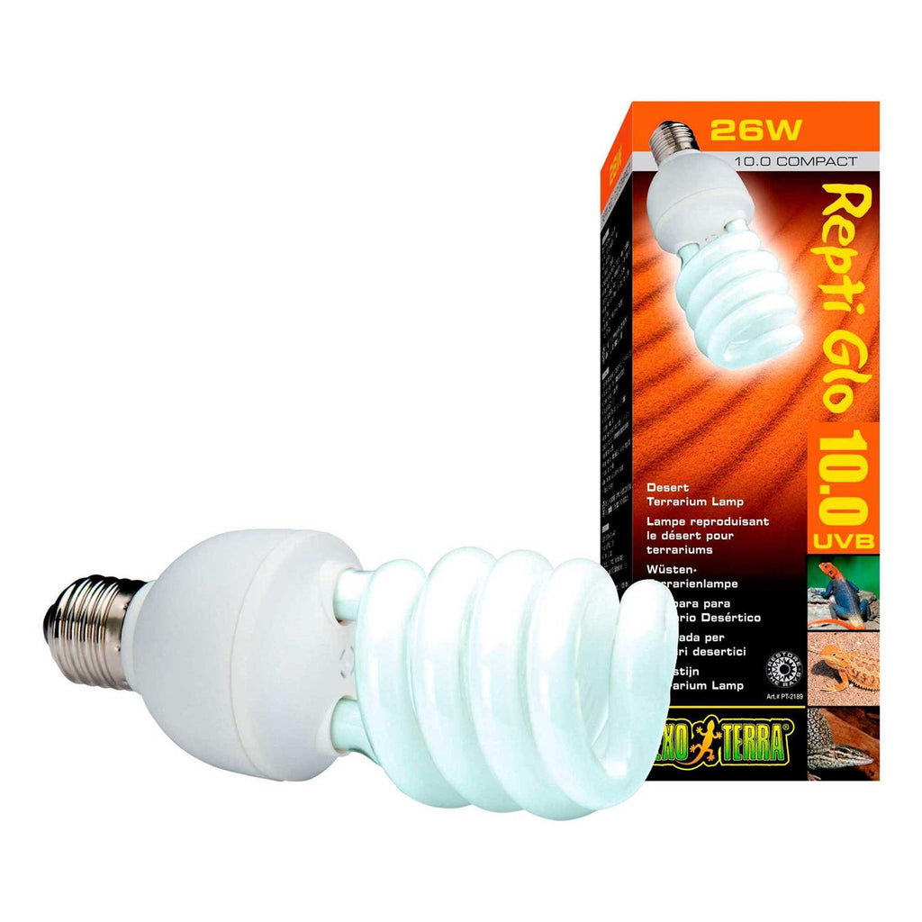 Desert Terrarium Bulb V734012