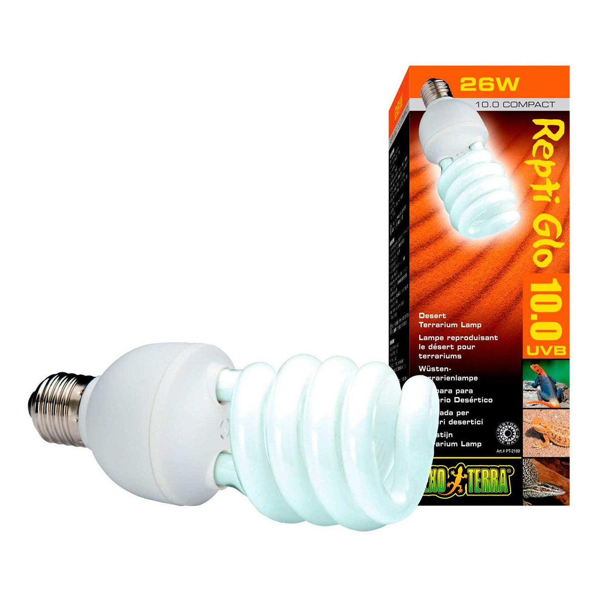 Desert Terrarium Bulb V734012