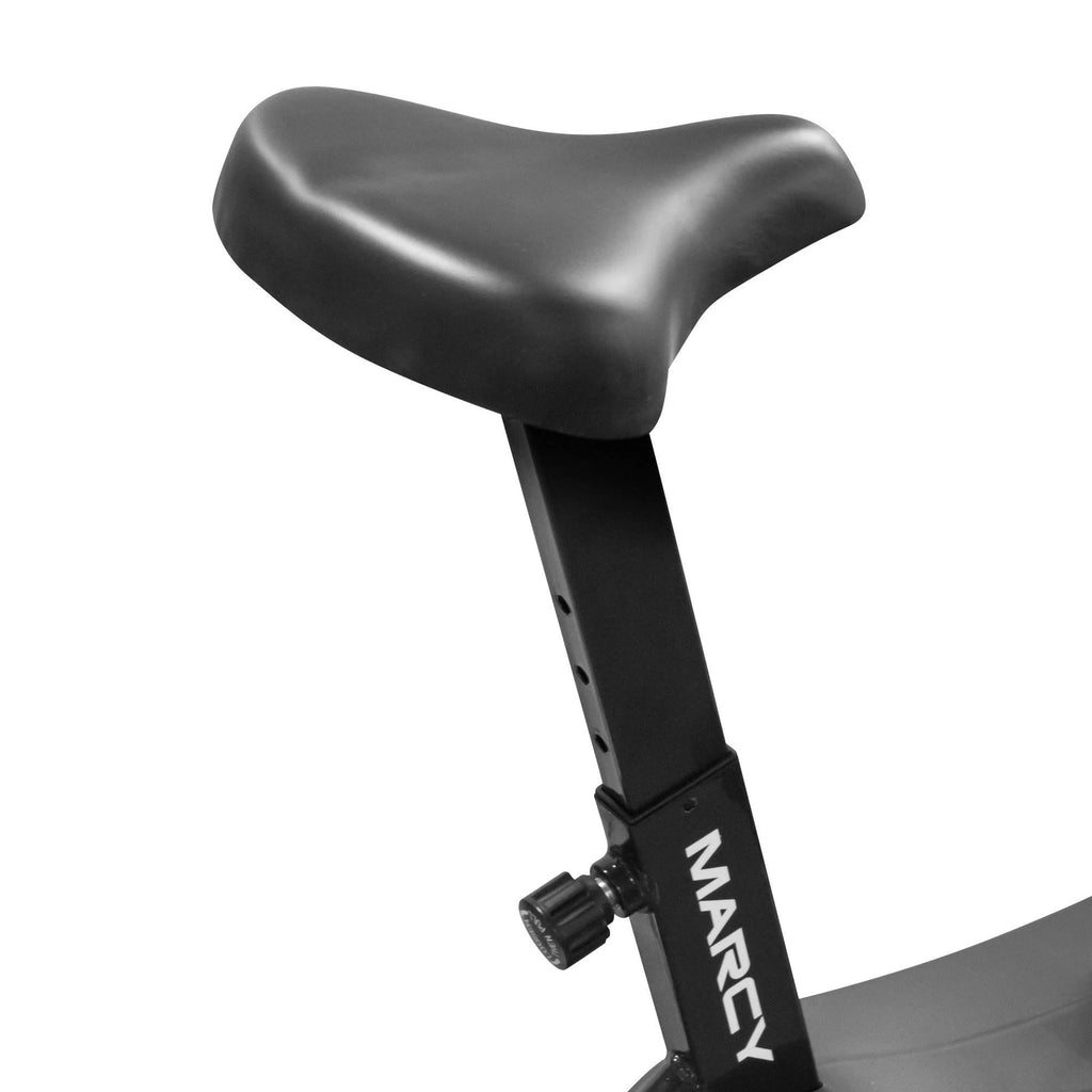 Fan Exercise Bike U316