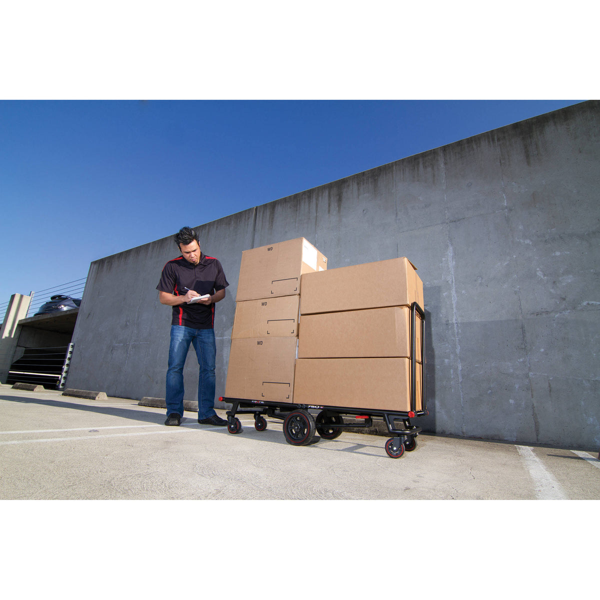 Folding Cart V9386