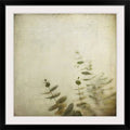 Photographic Print Black Frame 38x22 Q981486