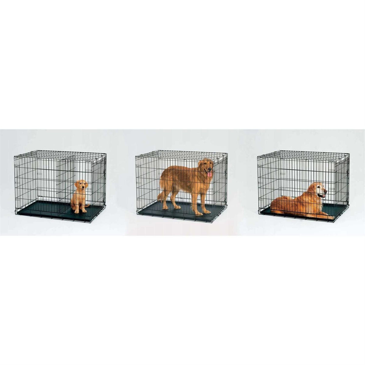 Double Door Dog Crate T1125