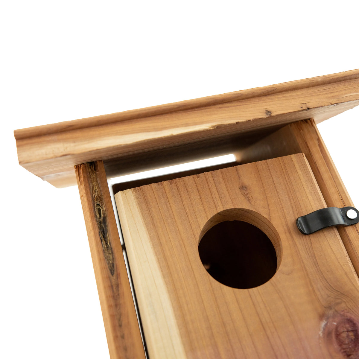 Red Cedar Bluebird Wild Bird House F379091