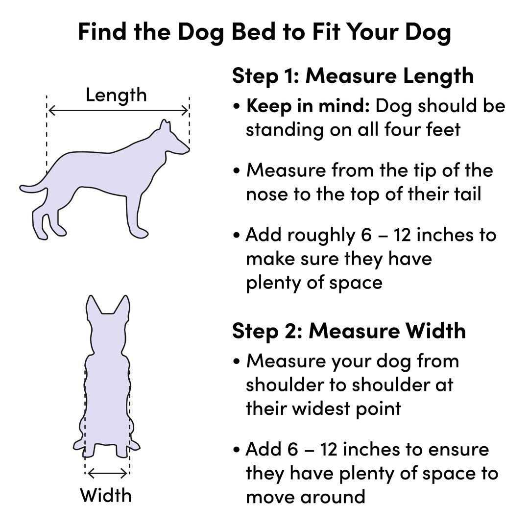 Pet Bed H672