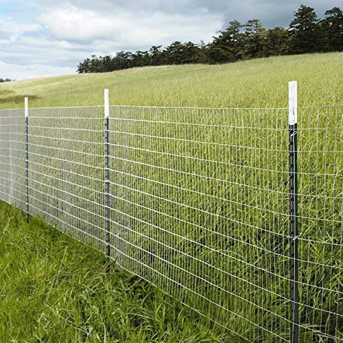 14 Gauge Galvanized Welded Wire Mesh 2 inch by 4 inch 5 ft. x 50 ft. B716