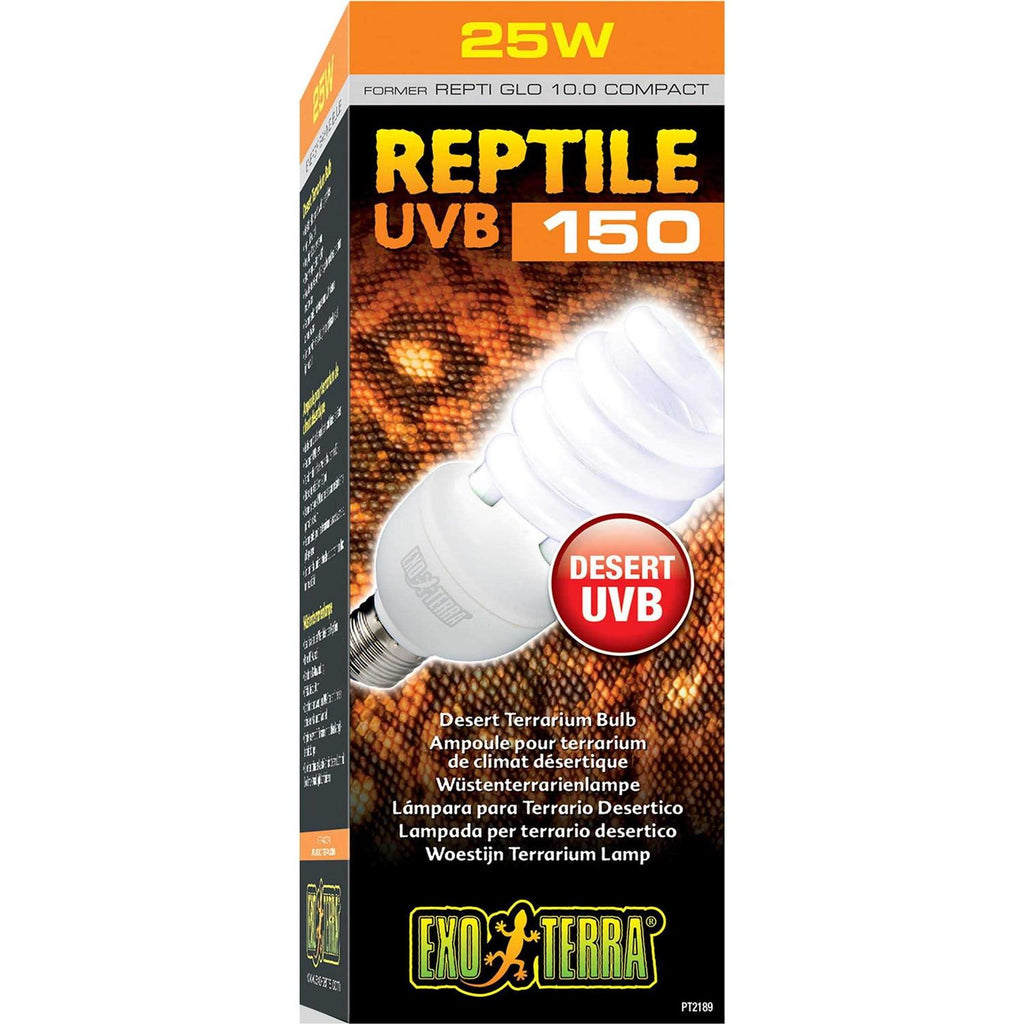 Desert Terrarium Bulb V734012